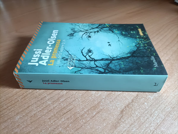 La promessa. I casi della Sezione Q | Jussi Adler Olsen - Marsilio / Feltrinelli