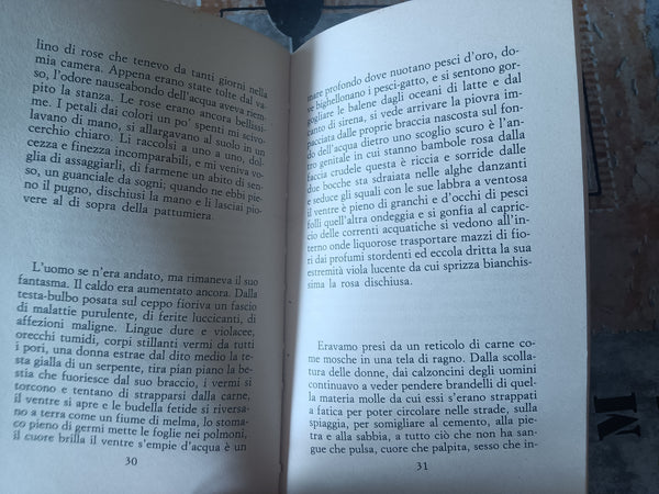 Il macellaio | Alina Reyes - Guanda