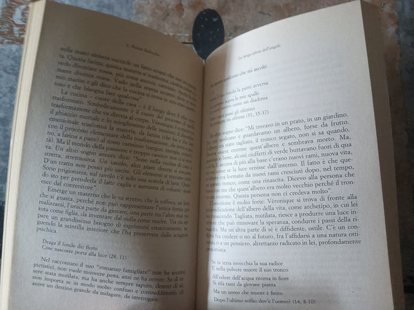 La lunga attesa dell’angelo | Lella Ravasi Bellocchio