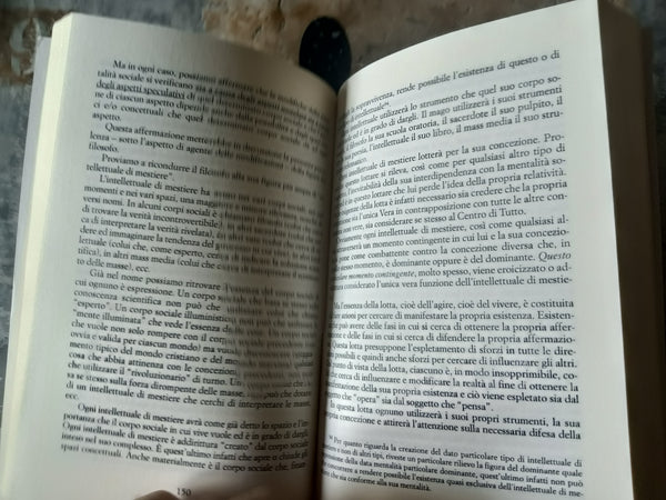 L’opinione pubblica e la storia | Diomede Milillo