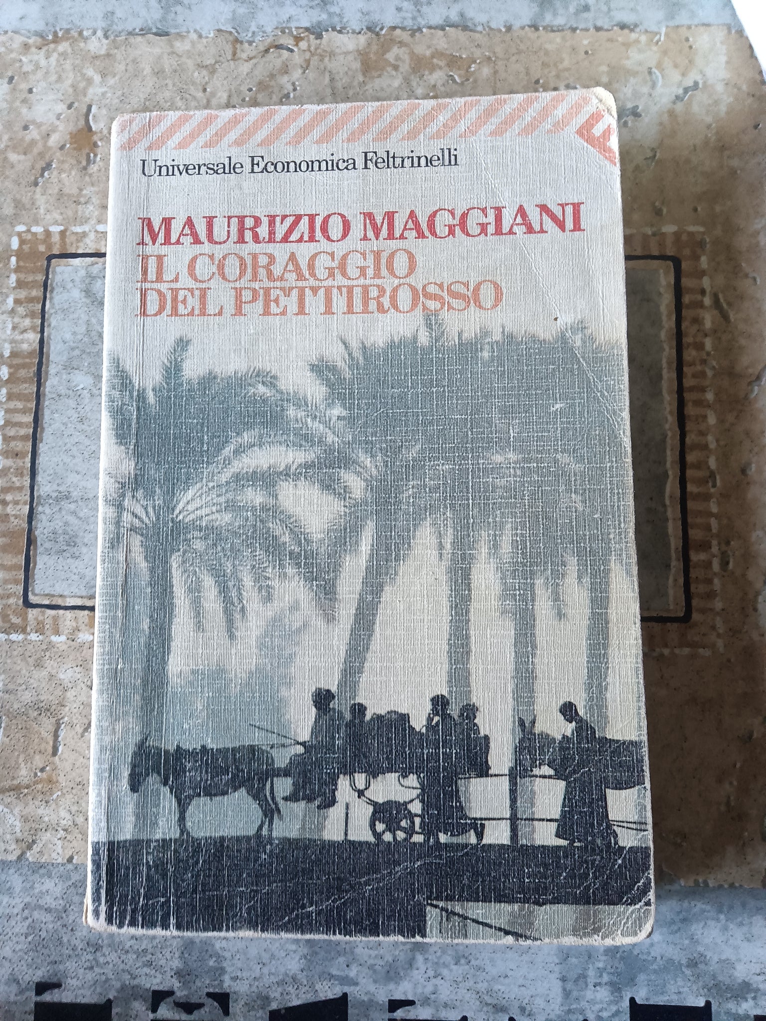 Il coraggio del pettirosso | Maggiani Maurizio - Feltrinelli