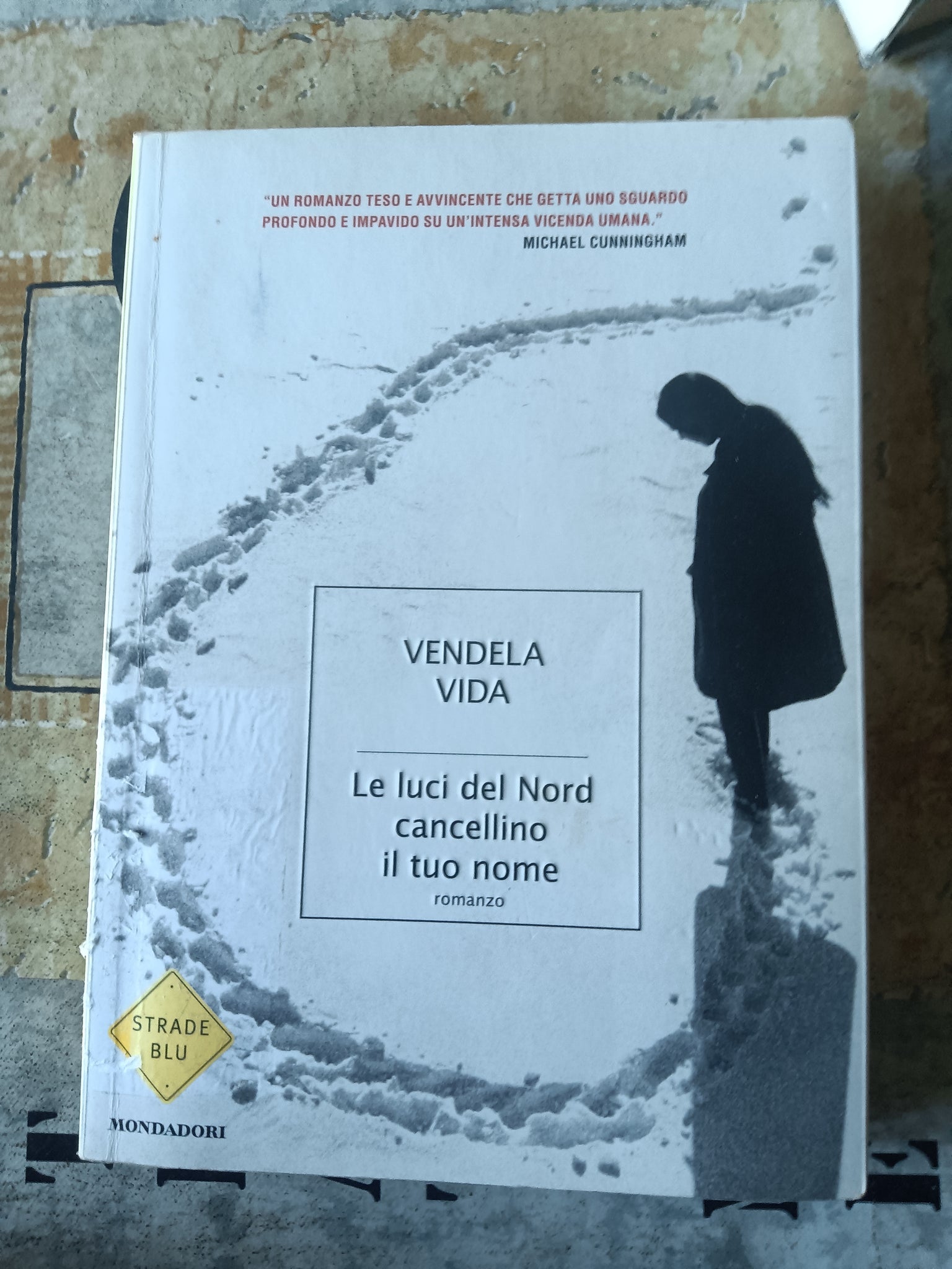 Le luci del nord cancellino il tuo nome | Vendela Vida - Mondadori