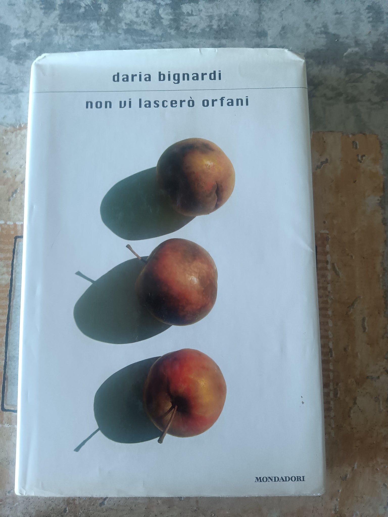 Non vi lascerò orfani | Daria Bignardi - Mondadori