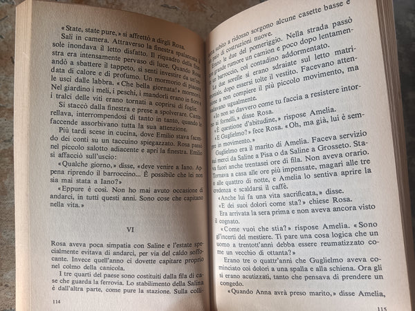 Il taglio del bosco | Carlo Cassola - Rizzoli