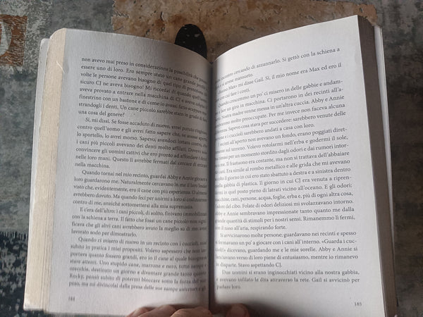Il viaggio di Buddy. Un’altra storia per umani | W. Bruce Cameron