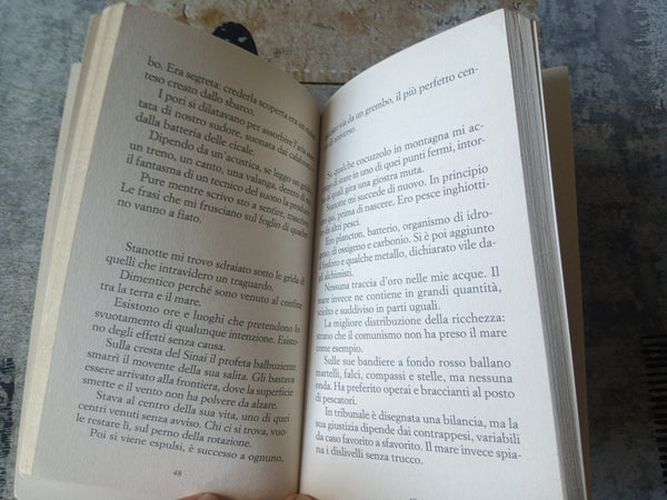 Storia di Irene | Erri De Luca - Feltrinelli