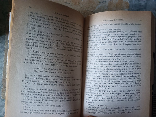 Giovinezza, Giovinezza | Fabbri A.M - Mondadori