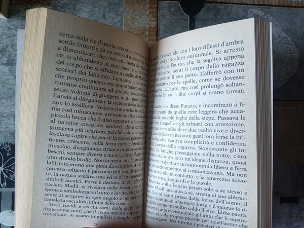Estasi | Stefano Zecchi - Mondadori