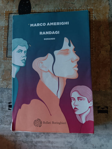 Randagi | Marco Amerighi - Bollati Boringhieri
