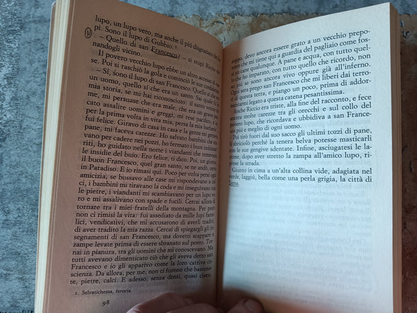 Le mille e una Italia | Giovanni Arpino - Einaudi