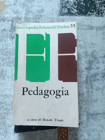 Pedagogia  | Renato Tisato - Feltrinelli