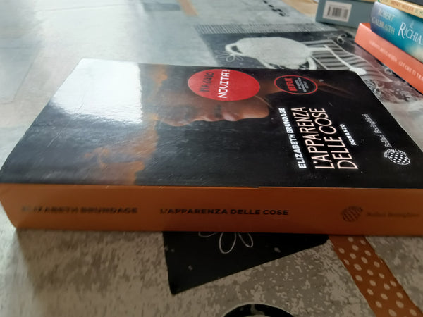 L’apparenza delle cose | Elizabeth Brundage - Bollati Boringhieri