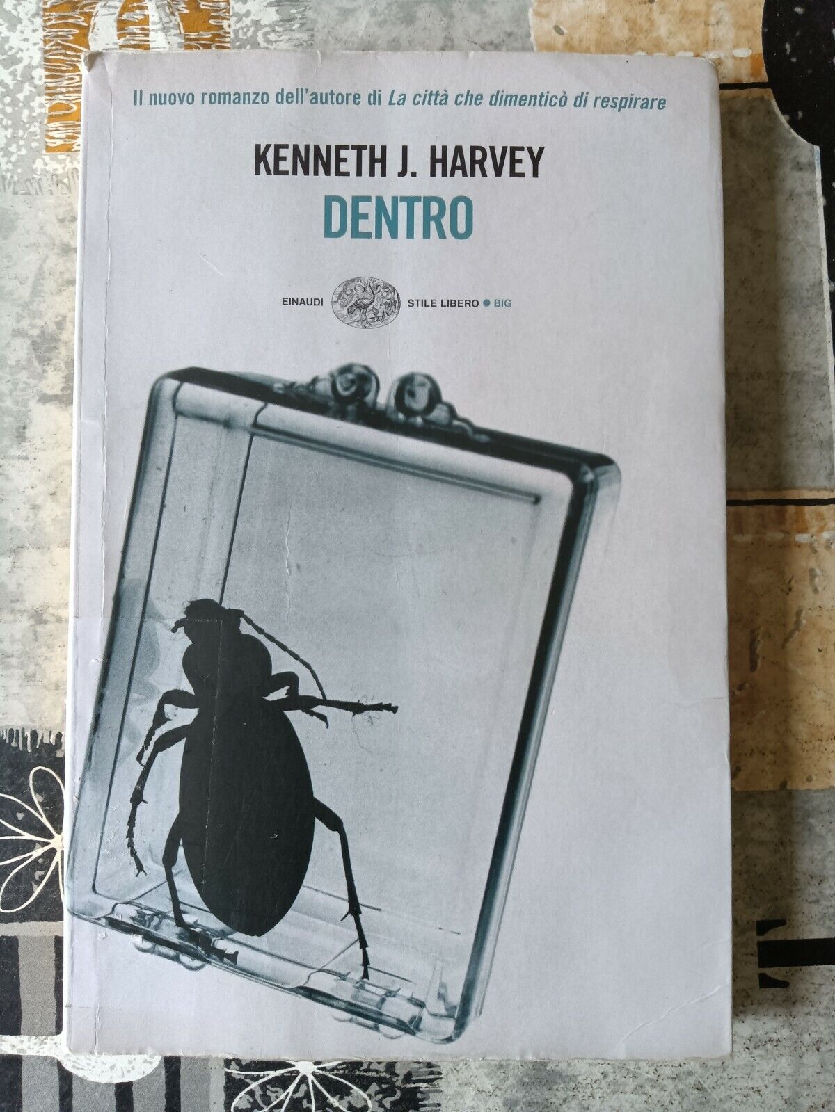 Dentro | Kenneth J. Harvey -  Einaudi