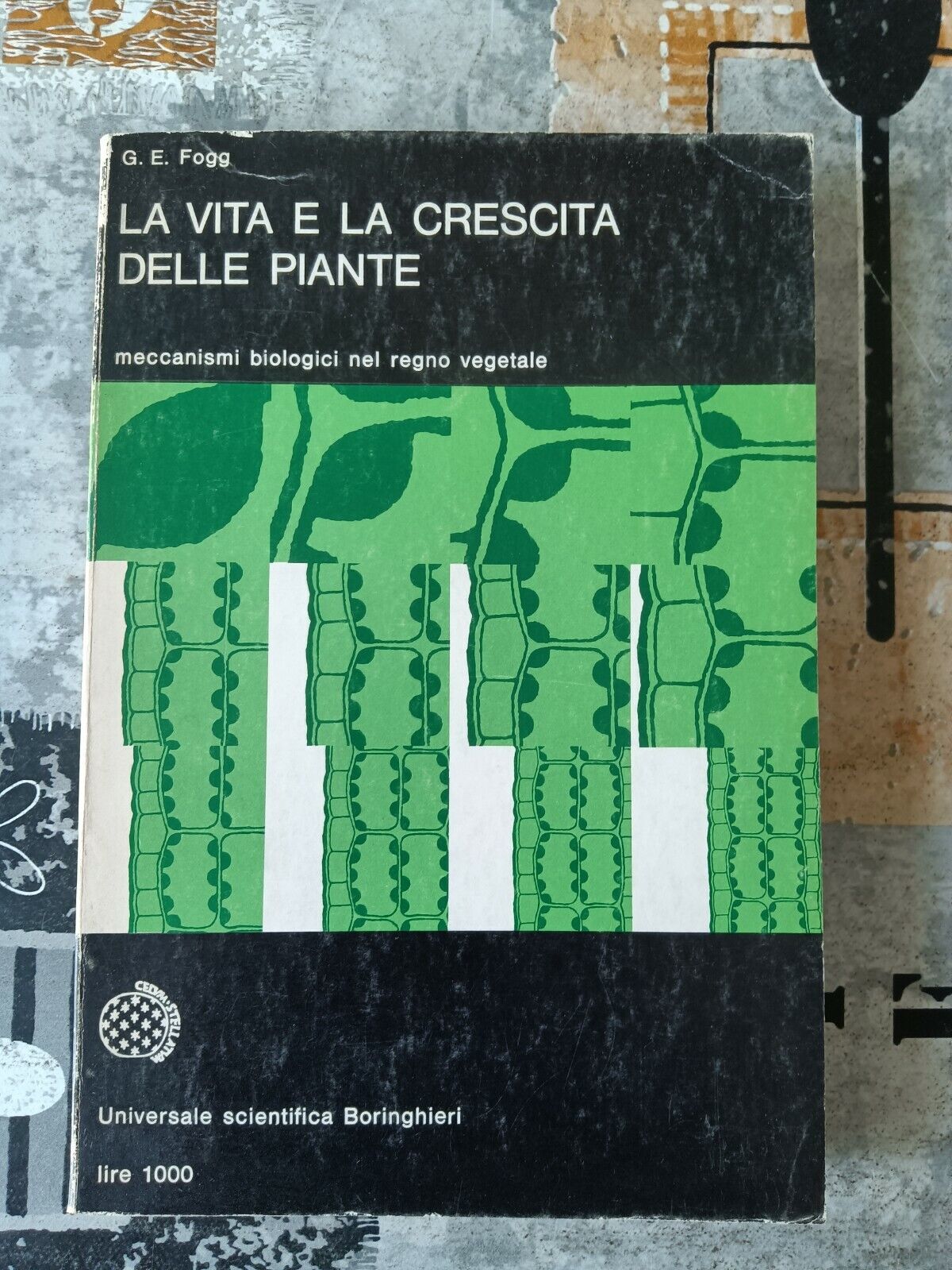 La vita e la crescita delle piante | Fogg Gordon Elliott - Boringhieri