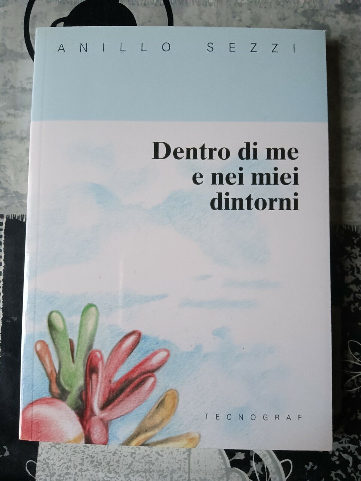 Dentro di me e nei miei dintorni | Anillo Sezzi