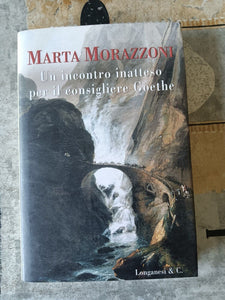 Un incontro inatteso per il consigliere Goethe | Marta Morazzoni