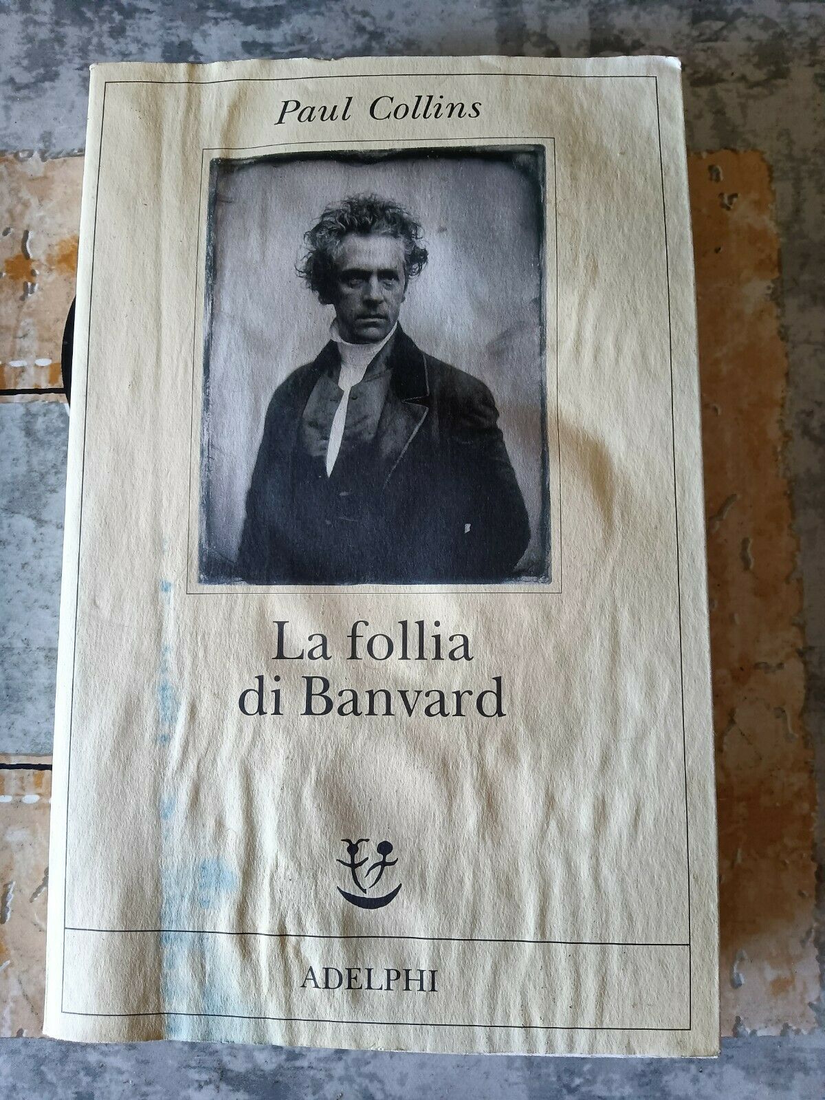 La follia di Banvard | Paul Collins - Adelphi