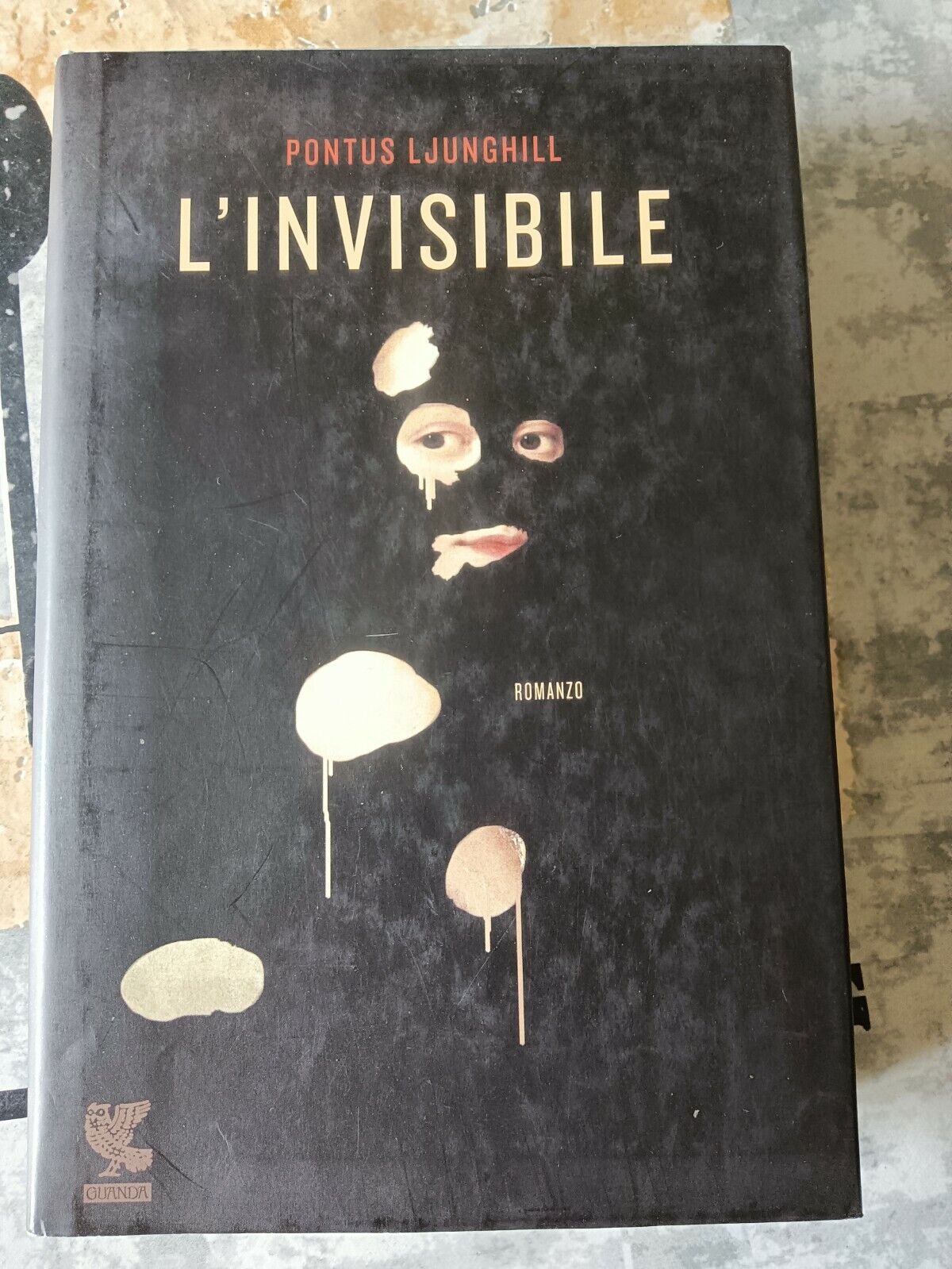 L’ invisibile | Pontus Ljunghill - Guanda