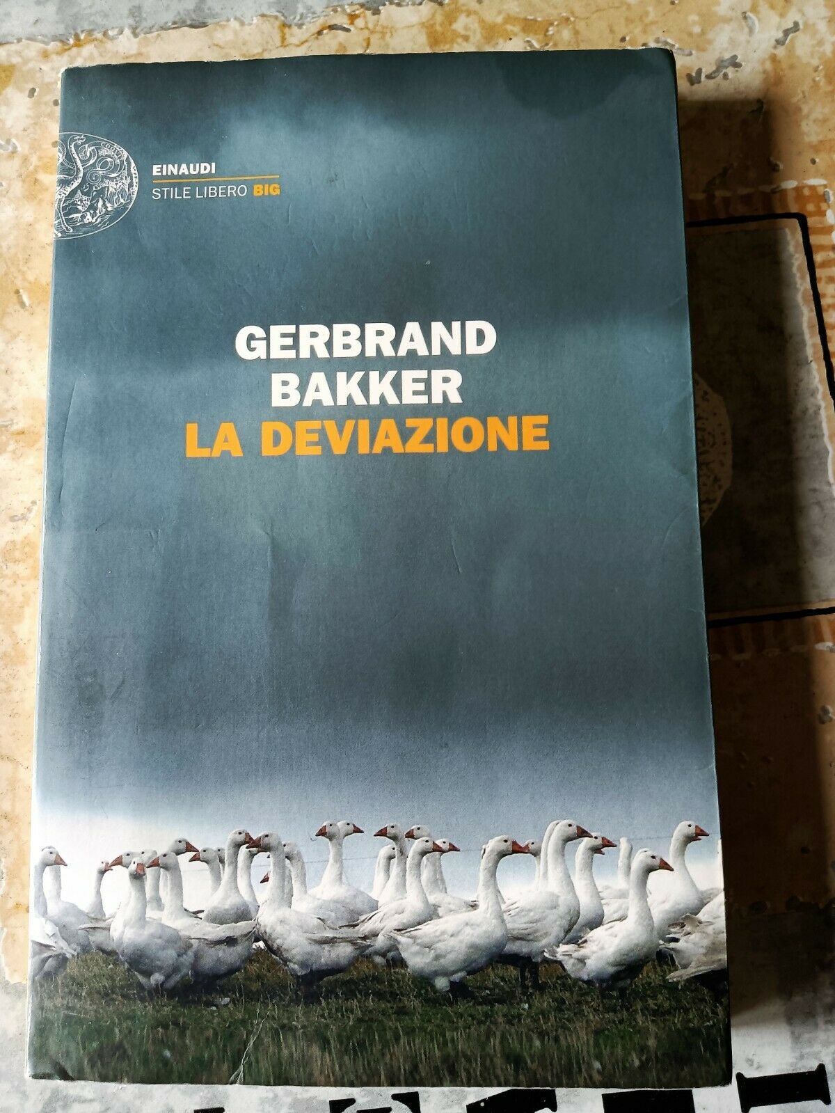 La deviazione | Gerbrand Bakker - Einaudi