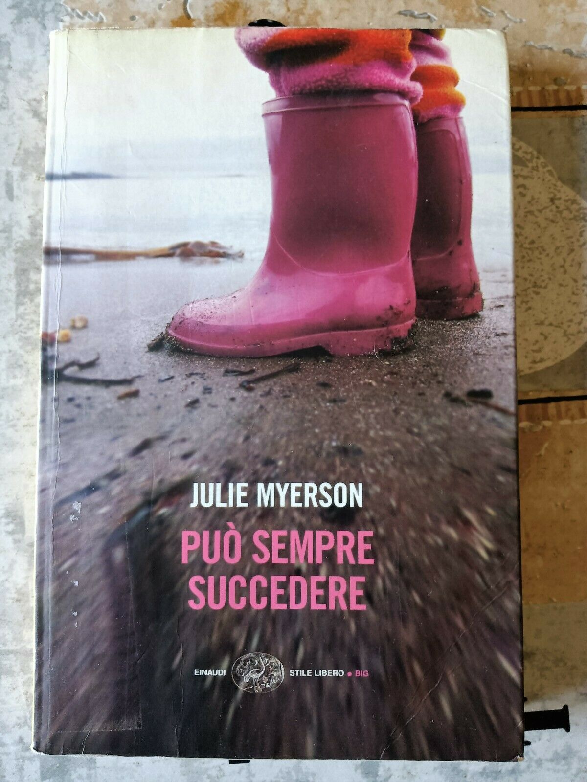 Può sempre succedere | Julie Myerson - Einaudi