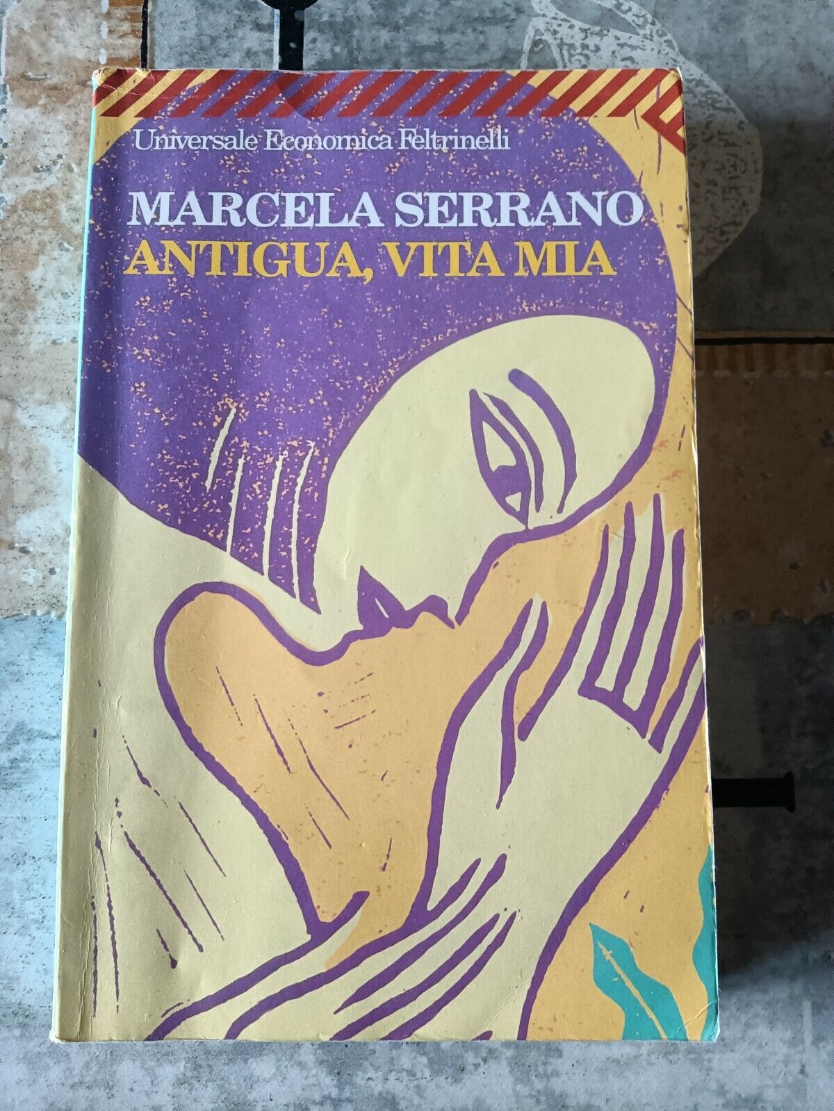 ANTIGUA, VITA MIA | Marcela Serrano - Feltrinelli