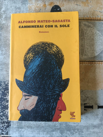Camminerai con il sole | Alfonso Mateo Sagasta - Guanda
