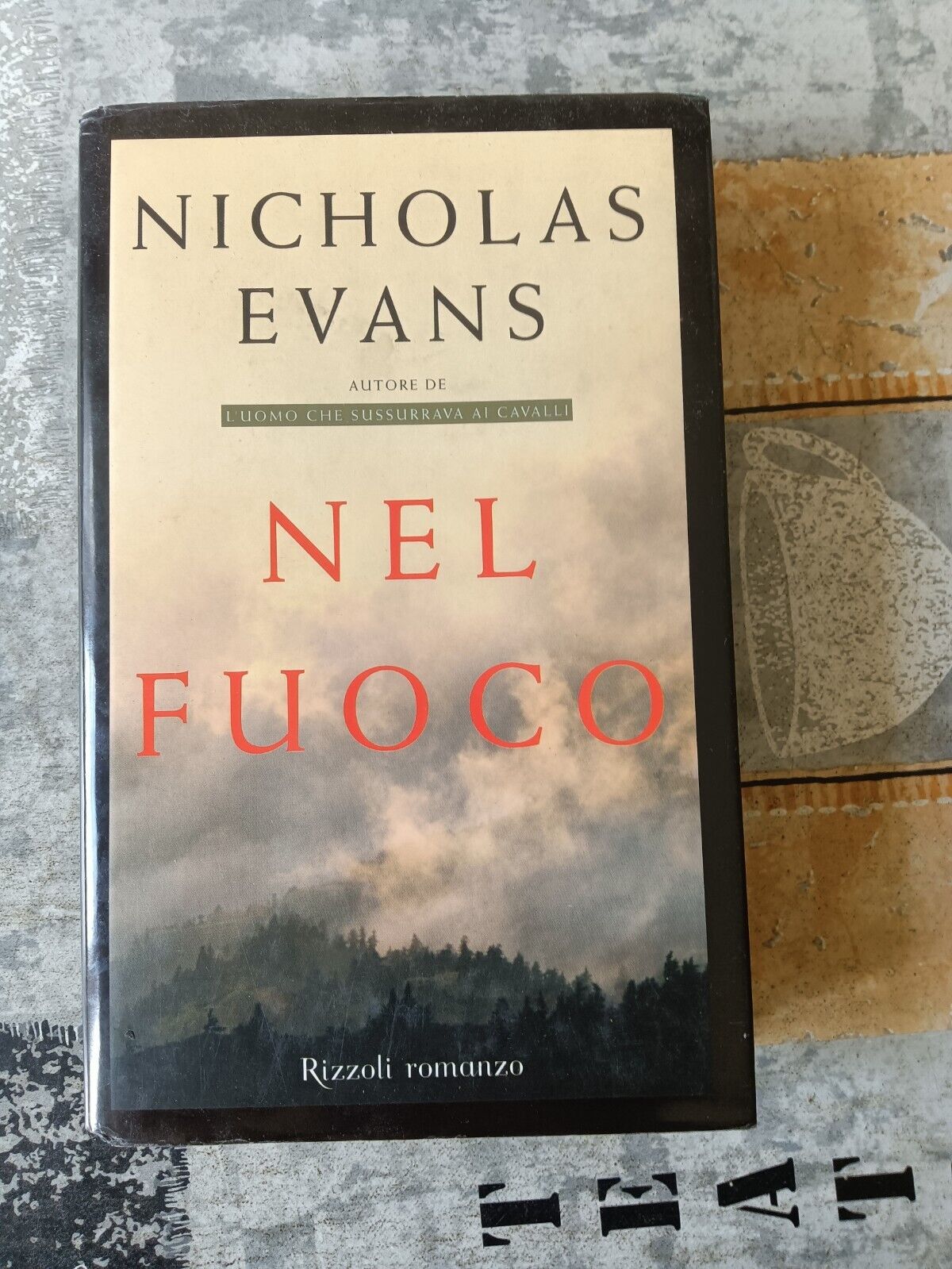 Nel fuoco | Nicholas Evans - Rizzoli